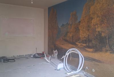 Tineretului- Parc - 1