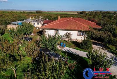 ID 7785 LIVADA SABANGIA DE VANZARE - 10