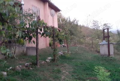 Casă cu 2 camere cu Teren 149 Mp în Orăștie - 4