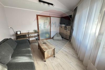 Apartament cu doua camere  de inchiriat in zona Delfinariu - 4