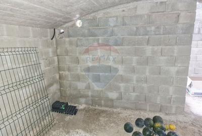 Oaza de liniste: casa cu livada si teren generos - Girov - 35