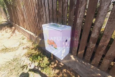 Teren foarte bun pentru mai multe case in Branesti - 2