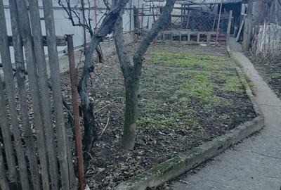 Casă cu 3 camere în Central - 4