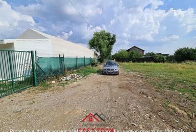 Casă cu Teren 3727 Mp în Bănești - 6