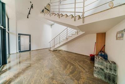 Spatiu Comercial Premium 370 mp, Vitrina 13 m, 3 Intrari Adora Par - 9