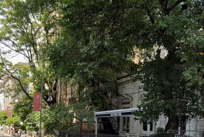 Spatiu comercial 300 mp terasa 100 mp pe Calea Victoriei - 1