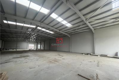 Depozit/hala/spatiu industrial Chiajna - Centura - Rudeni - 8