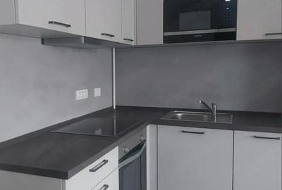 Garsonieră decomandată în Remetea Mare - 7