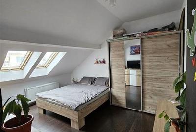 Apartament cu 2 camere nedecomandat, mobilat în Turnișor