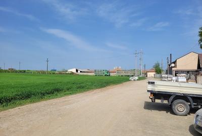 Teren 2,8 Ha, intravilan Oras Ovidiu – Varianta - 7
