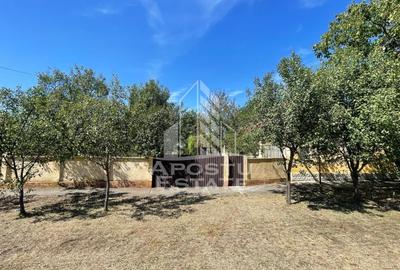 Casa cu teren 3407 mp, la asfalt, Seceani, 26 km de Timisoara. - 2