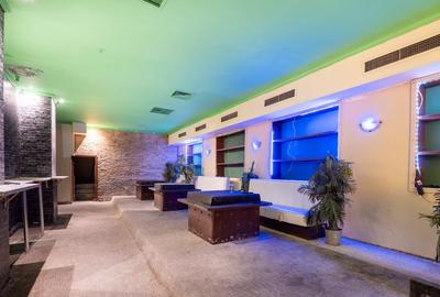 Spatiu comercial Centru Vechi - 5