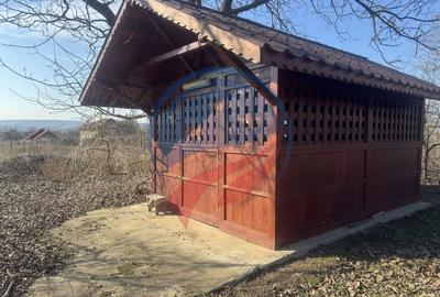 Casă individuală cu 4 camere cu Teren 4000 Mp în Central - 22