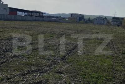 Teren de 10516 mp, în Centura - 2