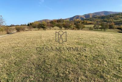 Teren Construcții extravilan de 972 mp, în Rășinari - 5