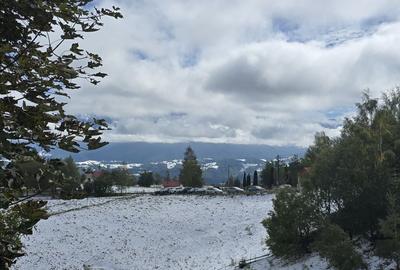 Teren de 12000 mp, în Peștera - 5