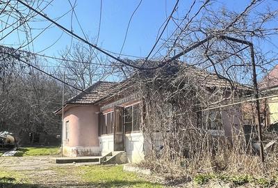 Casă cu 3 camere cu Teren 2173 Mp în Prundeni - 2