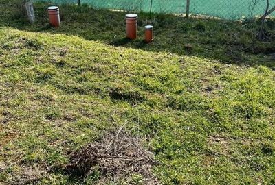 Teren de 490 mp, în Șendreni - 6