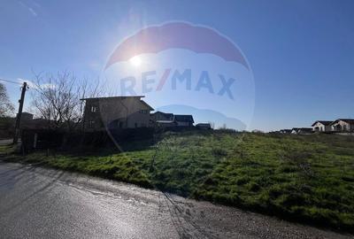 Teren intravilan de 347 mp, în Berceni - 5