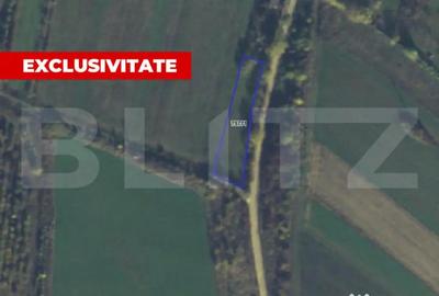 Teren de 921 mp, în Central