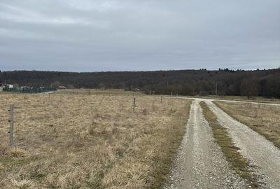 Teren de 12000 mp, în Vlădeni - 2