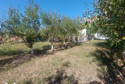 Casă cu 4 camere cu Teren 1052 Mp în Central - 17