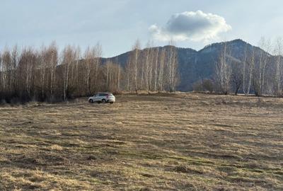 Teren Construcții intravilan de 500 mp, în Tohănița - 1