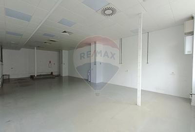 Inchiriere Spațiu Industrial/Productie | Mihai Bravu | Oportunitate! - 20