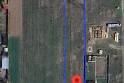 Teren constructii 2700 m2 Dumbrava Ro?ie - 2