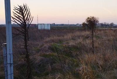 SUPER OCAZIE SE VINDE TEREN INTRAVILAN 500 MP IN ZONA BERCENI IF SUPER OCAZIE SE VINDE TEREN INTRAVILAN 500 MP IN ZONA BERCENI IF - 2
