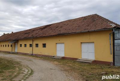 Spațiu comercial, de 600 mp, în Rișca - 3