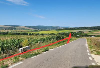 Teren de 21000 mp, în Scânteia - 4