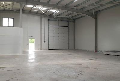 Spațiu comercial, de 600 mp, în Chiajna - 3