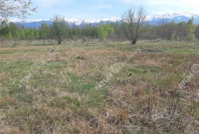 Teren intravilan 2700 mp pe Valea Avrigului localitate Avrig - 1