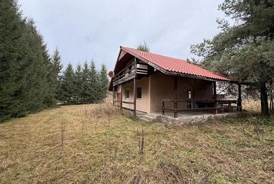 Casă cu Teren 1400 Mp în Bulz - 2