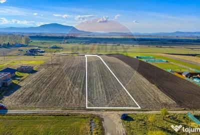 Teren de 8900 mp, în Sânpetru - 5