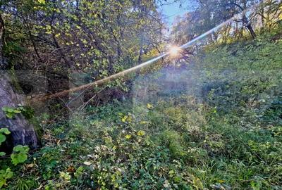 Teren de 725 mp, în Feleacu - 3