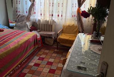 Apartament cu 2 camere decomandat în Craiovița Nouă - 2