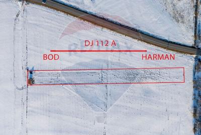 Teren cu plantatie de aronia - 1