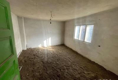 Casă cu 5 camere cu Teren 8000 Mp în Orlești - 1