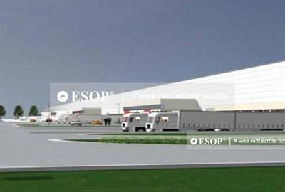 Spațiu comercial, de 5,000 mp, în Corbii Mari - 3