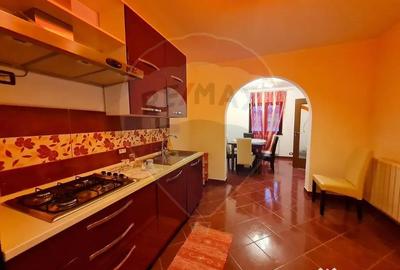 Casă cu 6 camere cu Teren 3141 Mp în Ploștina - 14