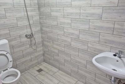 Inchiriez garaj spatiu 55mp zona Dedeman, Portului - 4