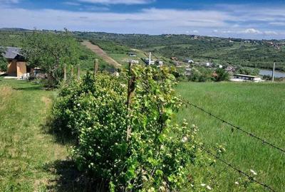 Casă cu 2 camere cu Teren 1500 Mp în Paleu - 5