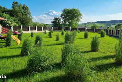 Casă cu 3 camere cu Teren 3000 Mp în Slătioara - 8