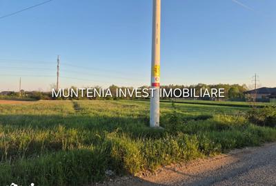 Teren de 3533 mp, în Poiana Lacului - 11