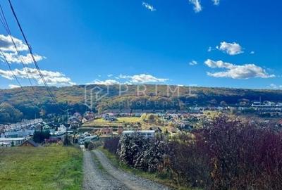 Teren cu potențial multiplu de dezvoltare - Corunca, E60, 17.000 mp - 3