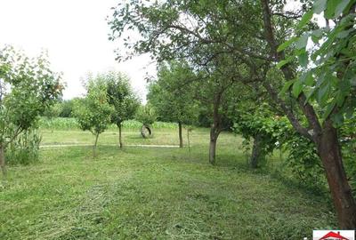 Casă cu 7 camere cu Teren 3200 Mp în Viile Satu Mare - 3