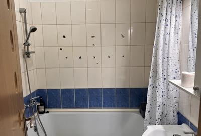 Garsoniera  spatioasa renovata Llazaret Compa str Otelarilor - 4