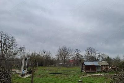 Crevedia - Darza , teren si casa batraneasca - 2